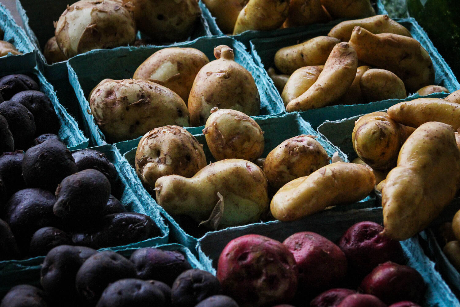 Potatoes potatoes-in-carton